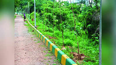 BBMP Plantation: ಬೆಂಗಳೂರಲ್ಲಿ ಒಂದು ಗಿಡ ನೆಡಲು 1 ಸಾವಿರ ಖರ್ಚು ಮಾಡ್ತಿದೆ ಬಿಬಿಎಂಪಿ!