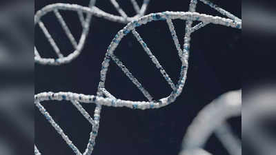 SC Declines DNA Testing: બાળકોનો પિતા પતિ છે કે દિયર તે જાણવા પરિણીતાએ DNA ટેસ્ટ માટે કરેલી અરજી ફગાવાઈ