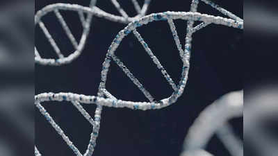 SC Declines DNA Testing: બાળકોનો પિતા પતિ છે કે દિયર તે જાણવા પરિણીતાએ DNA ટેસ્ટ માટે કરેલી અરજી ફગાવાઈ 