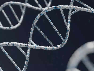 SC Declines DNA Testing: બાળકોનો પિતા પતિ છે કે દિયર તે જાણવા પરિણીતાએ DNA ટેસ્ટ માટે કરેલી અરજી ફગાવાઈ 