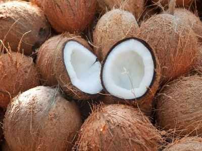 Coconut Price: ದೀಪಾವಳಿ ಹಬ್ಬದ ವೇಳೆಯಲ್ಲೇ ಇಳಿದ ತೆಂಗಿನ ದರ: ಗ್ರಾಹಕರಿಗೆ ಸಂತಸ