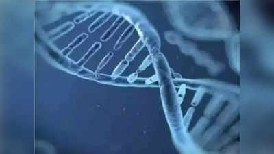 हुबेहूब चेहरापट्टी, दोन जीवलग मैत्रिणींनी DNA टेस्ट केली, निघाल्या जुळ्या बहिणी, रहस्य काय?