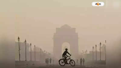 Delhi Pollution : দিল্লির দূষণ রোধে বড় ভূমিকা ছিল সিত্রাং-এর, দাবি বিশেষজ্ঞদের