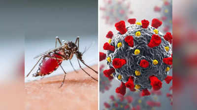 UP में डेंगू और कोरोना के बढ़ते ग्राफ से स्वास्थ्य विभाग की बढ़ी चिंताएं, जानें ताजा स्थिति
