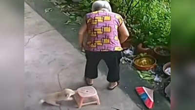 Viral Video: ಈ  ಮುದ್ದು ಶ್ವಾನದ ಹೃದಯವಂತಿಕೆಗೆ ನೀವು ಫಿದಾ ಆಗದೆ ಇರಲು ಸಾಧ್ಯವೇ ಇಲ್ಲ