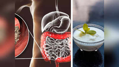 Colon Cleansing Food : आतडे आणि पोटातील विषारी घाण एका झटक्यात बाहेर काढतील ७ गोष्टी, फक्त तुम्ही नित्यनियमाने करा