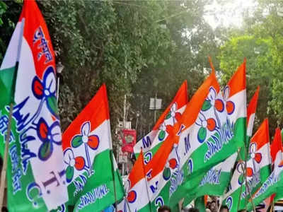 Panchyat Election : চলো গ্রামে যাই, পঞ্চায়েত ভোটের আগে নয়া কর্মসূচি তৃণমূলের