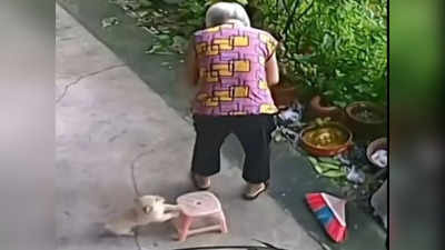 viral video: కుక్కపిల్ల చేసిన సాయం చూస్తే.. మెచ్చుకోక మానరు