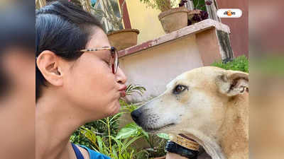 Dog Missing : পোষ্য জিমি নিরুদ্দেশ, চিন্তায় ঘুম উড়েছে ডগ লাভার স্বস্তিকার