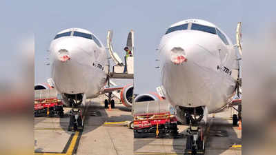 Bird Strike: 1900 फीट की ऊंचाई पर पक्षी से टकराया Akasa Air का विमान, दिल्ली में हुई लैंडिंग, बड़ा हादसा टला
