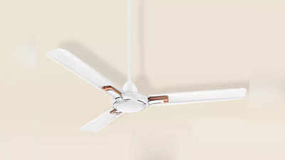 फर्राटेदार हवा और कमरे को एलिगेंट लुक देते हैं ये Ceiling Fan, यहां देखें बढ़िया ऑप्शन