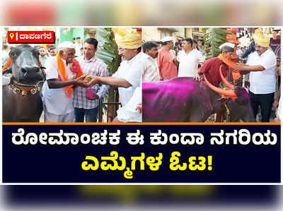 Buffalo Race In Belagavi: ರೋಮಾಂಚಕ ಈ ಕುಂದಾ ನಗರಿ ಬೆಳಗಾವಿಯ ಎಮ್ಮೆಗಳ ಓಟ! ಎಮ್ಮೆ ಓಟಕ್ಕೆ ಚಾಲನೆ ನೀಡಿದ ಶಾಸಕ ಅ‌ನಿಲ ಬೆನಕೆ