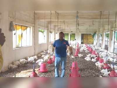 कन्नौज में हुई अनोखी लूट, पोल्ट्री फार्म से चोरों ने चुराए 400 मुर्गे, मामला दर्ज