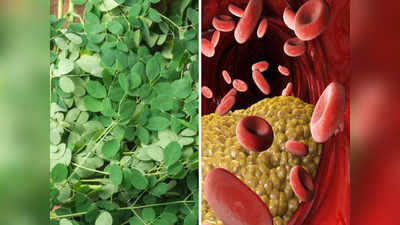 Cholesterol का असली दुश्मन है ये पौधा, Ayurveda डॉ. ने माना-इसके पत्ते चबाने से दूर होंगी Diabetes जैसी 15 बीमारी