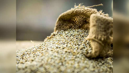 pearl millet benefits : தினமும் ஒரு கைப்பிடி அளவு கம்பு சாப்பிட்டாலே இத்தனை பயனும் ஒன்னா கிடைக்கும்...