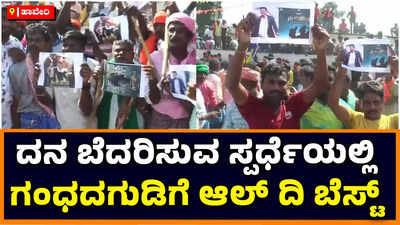 Gandhada Gudi: ಹಾವೇರಿಯ ದನ ಬೆದರಿಸುವ ಸ್ಪರ್ಧೆಯಲ್ಲಿ ಗಂಧದಗುಡಿಗೆ ಆಲ್‌ ದಿ ಬೆಸ್ಟ್‌ ಹೇಳಿದ ಫ್ಯಾನ್ಸ್‌