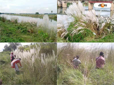 Howrah News : অনুপ্রেরণা মুখ্যমন্ত্রীর পেপ টক, সাঁকরাইলে শুরু কাশফুলের বালিশ তৈরি