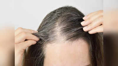 Gray Hair Remedies: ৩০ পেরতেই সব চুল পেকে যাচ্ছে? কোন কারণে? এই ২ টোটকায় কুচকুচে কালো চুল ফিরে পান কয়েক সপ্তাহেই