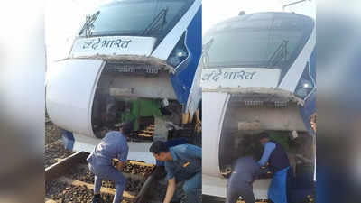 Vande Bharat Express Accident : वंदे भारत का बैडलक जारी! अब वलसाड में गाय से टकराई, महीने में तीसरी घटना