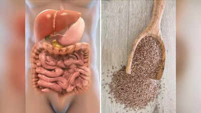 Fatty Liver : लिव्हरमध्ये जमा झालेली चरबी बनते फॅटी लिवर आजार, हे 5 पदार्थ खा, घाण व पोटाची चरबीही टाकतात जाळून