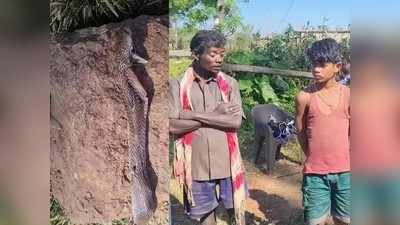 Jashpur Video:बच्चे को सांप ने काटा तो उसने ऐसे लिया बदला, नाग की हो गई मौत