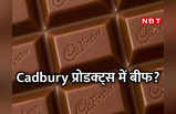 कैडबरी चॉकलेट में बीफ, हलाल सर्टिफाइड जिलेटिन? वायरल हो रहे दावे का सच जानिए