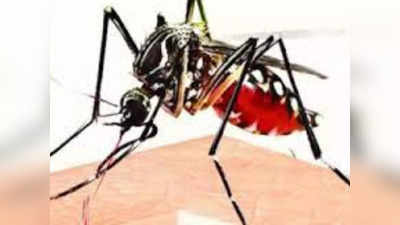 Dengue Cases : छठ पर्व के बीच पटना में बढ़ी डेंगू की रफ्तार, 316 नये मामलों  ने बढ़ाई स्वास्थ्य विभाग की चिंता