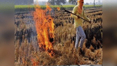 Deoria News : पराली जलाने से नुकसान बताएगा कृषि विभाग, जानिए पुआल से कैसे बनेगी कम्पोस्ट खाद