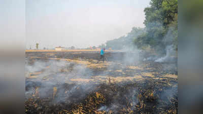 पराली के प्रदूषण का दिल्ली में हिस्सा 26% तक, पंजाब में पराली जलाने के मामले कम होने से भी राहत नहीं
