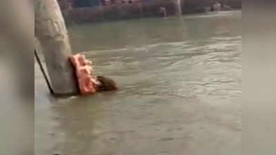 गंग नहर में गिरे बंदर को हनुमान जी जी ने डूबने से बचा लिया! रात भर था पानी में, गाजियाबाद में सामने आई घटना