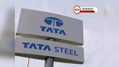Tata Steel: এক বছরের 87% কমল মুনাফা! আগামীদিনে ঘোর সংকটে টাটা স্টিল?