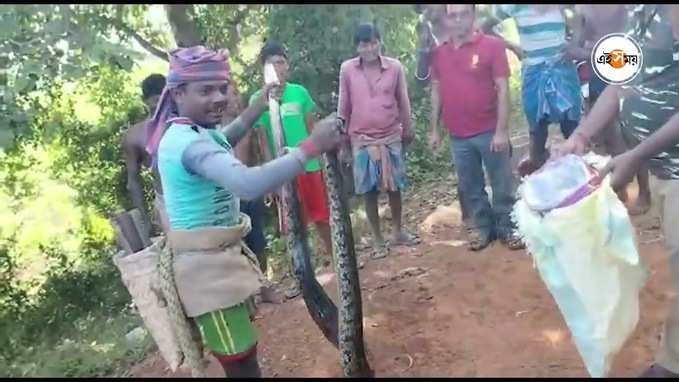 Python Rescue : মাছের জালে আঁটকে গেল বিশালাকার পাইথন