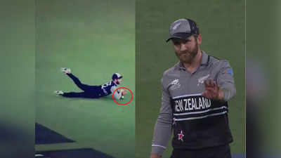 ENG vs NZ: ಕ್ಯಾಚ್‌ ಪಡೆದದ್ದಾಗಿ ನಾಟಕವಾಡಿ ನಂತರ ಕ್ಷಮೆ ಕೇಳಿದ ಕೇನ್‌ ವಿಲಿಯಮ್ಸನ್‌!