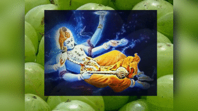 Akshay Navami 2022 अक्षय नवमी कब है, जानें इस दिन आंवले की पूजा का क्‍यों है इतना महत्‍व
