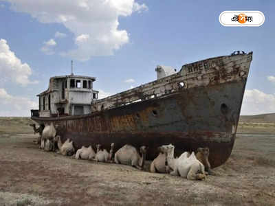 Aral Sea: সাগর শুকিয়ে খাঁ খাঁ করছে মরুভূমি, এক ফোঁটা জলের জন্য হাহাকার