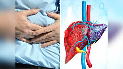 Fatty Liver: ফ্যাটি লিভারের কবলে পড়ে প্রাণঘাতীও হতে পারে! এই রোগের কারণ, লক্ষণ এবং প্রতিরোধ সম্পর্কে জানুন