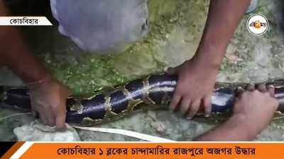 Python Rescue : কোচবিহারে উদ্ধার ১৫ ফুটের লম্বা অজগর