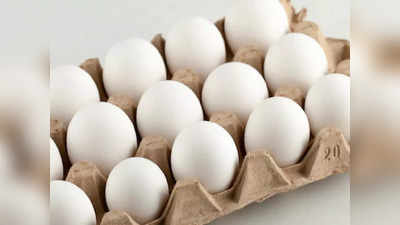 Egg Business: প্রতিদিন দেড় কোটি ডিম খায় কলকাতা! আসল-নকল আন্ডার ফান্ডা ধরবেন কী করে?
