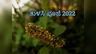 Tulsi Puja 2022: ಮನೆಯಲ್ಲೇ ತುಳಸಿ ಪೂಜೆ ಮಾಡುವ ಸರಳ ವಿಧಿ - ವಿಧಾನಗಳಿವು..! 