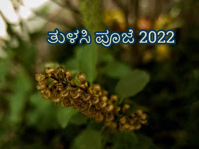 Tulsi Puja 2022: ಮನೆಯಲ್ಲೇ ತುಳಸಿ ಪೂಜೆ ಮಾಡುವ ಸರಳ ವಿಧಿ - ವಿಧಾನಗಳಿವು..! 