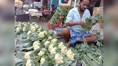 Market Price Today: ফুলকপির দাম নামল 20-তে, নজরে লক্ষ্মীবারের বাজারদর