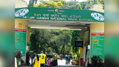 SGNP Recruitment: संजय गांधी राष्ट्रीय उद्यानात नोकरीची संधी, येथे पाठवा अर्ज