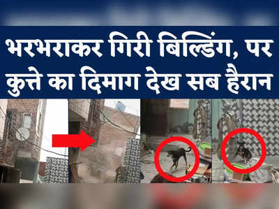 Ghaziabad Building Collapse: गिरने वाली थी बिल्डिंग, पर कुत्ते की इस हरकत ने सबको हैरान कर दिया!