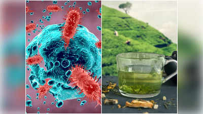 Foods To Boost Immunity: ভারতে চিন্তার কারণ Omicron XBB Variant, নতুন ঢেউ থেকে বাঁচতে ইমিউনিটি বাড়ান এই খাবারে