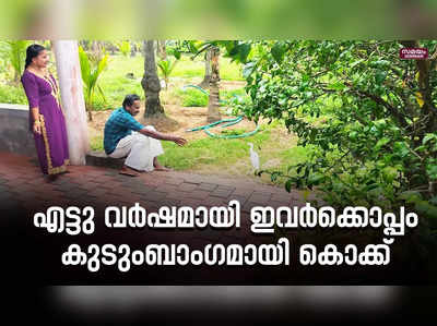 എട്ടു വർഷമായി ഒരു കൊക്കിനെ കുടുംബാംഗമാക്കി രവിയും ഭാര്യയും  