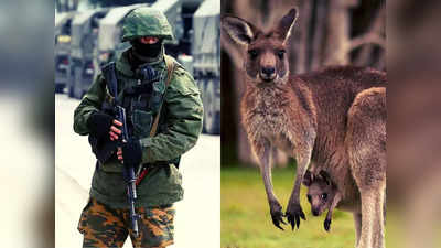 भेड़िये, ऊंट, सूअर... चिड़ियाघर के जानवरों को मारकर खा रहे पुतिन के भूखे सैनिक, यूक्रेन में जंग लड़ रहे दरिंदे!