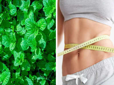 Leaves For Weight Loss: এই ৫টি পাতা পেট-কোমর ও নিতম্বে জমে থাকা চর্বি চুষে নিয়ে ওজন কমাবে দ্রুত! আজই ট্রাই করুন