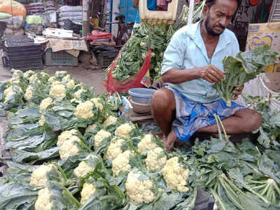 Kolkata Market Price Today: সপ্তাহের শেষে সবজির বাজার সস্তা! দেখে নেওয়া যাক ফুলকপি, বাঁধাকপির দাম