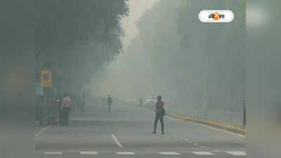 Delhi Air Pollution: রাজধানীর বাতাস বিষাক্ত, প্রাথমিক স্কুল বন্ধ রাখার সিদ্ধান্ত কেজরি সরকারের