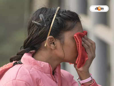 Delhi Air Pollution: দিল্লিতে সামান্য স্বস্তি, পরপর ২ দিন দূষণ কমায় শিথিল নিষেধাজ্ঞা